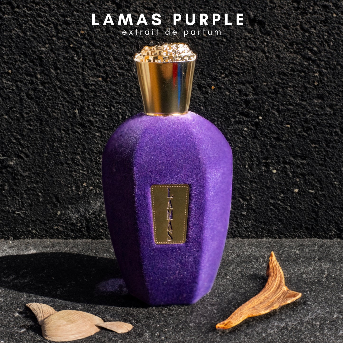 Lamas Purple